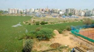 Raidurg Rewrites the Record Books: Plot P1 Fetches ₹264 Crore per Acre, Hyderabad’s Highest-Ever Land Value
