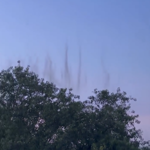 Smoke or Swarm? Uppal’s Strange ‘Cloud’ Turns Out to Be Thousands of Mosquitoes, Raising Fresh Questions Over Hyderabad’s Vector Control